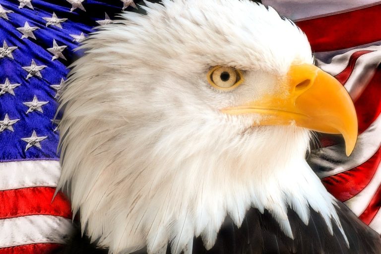 eagle, flag, july-1063863.jpg