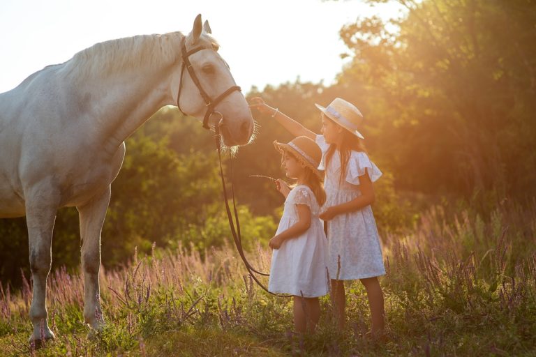 sisters, horse, children-7103501.jpg