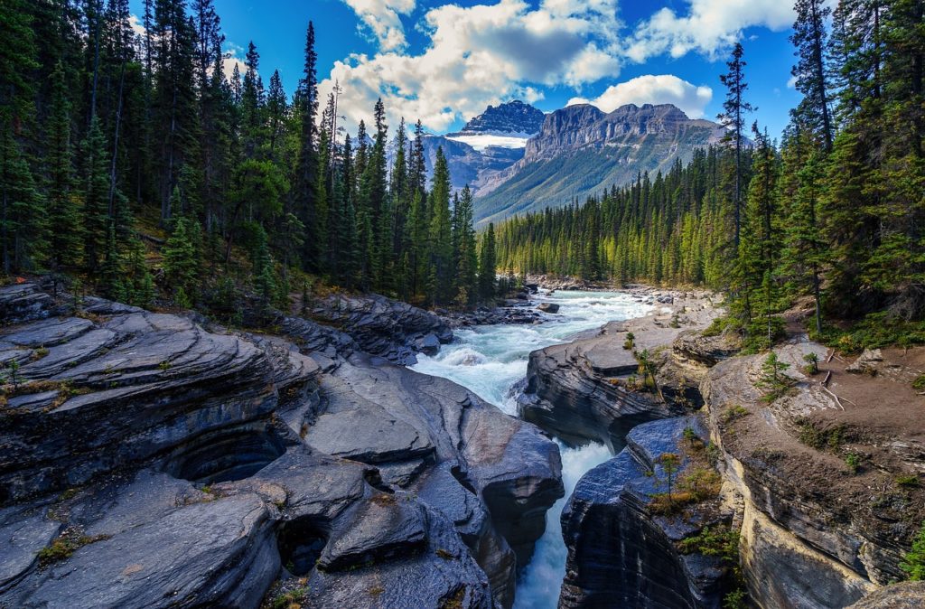 river, rocks, trees-5765785.jpg