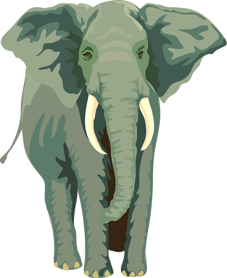 elephant, animal, wildlife-24722.jpg