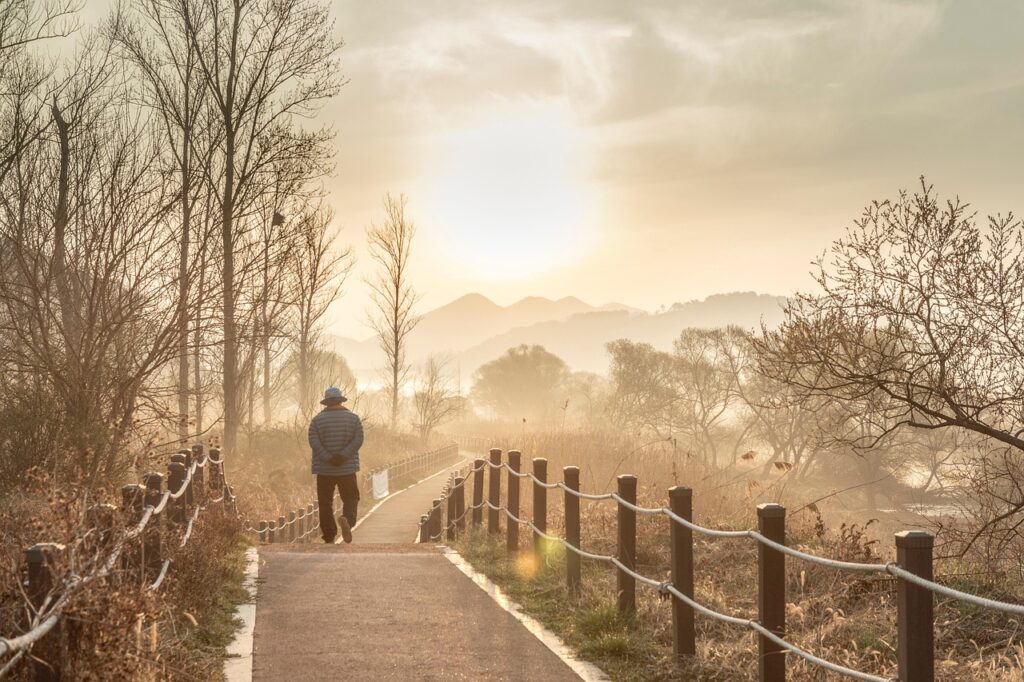 old man, walking, pathway, morning, dawn, sun, autumn, landscape, road, nature, trees, old man, old man, old man, old man, old man, walking, walking, pathway