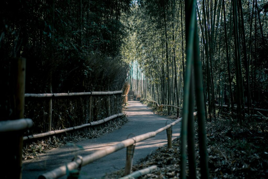 Serene bamboo pathway in Kyoto's Arashiyama, surrounded by lush nature and tranquil light.