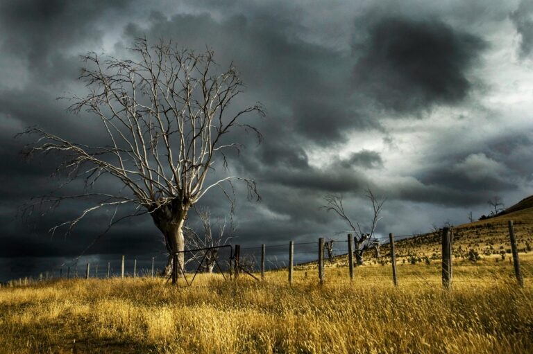 An ominous storm cloud looms over a dry rural landscape with a solitary bare tree and fence.